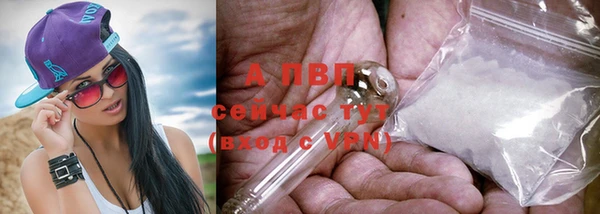 молекула духа Мегион