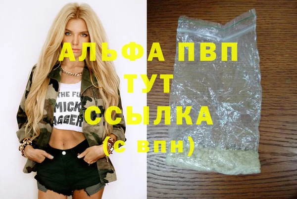 гашик Медногорск