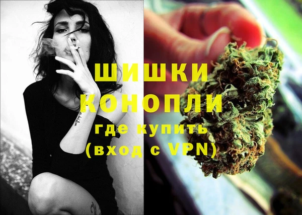молекула духа Мегион