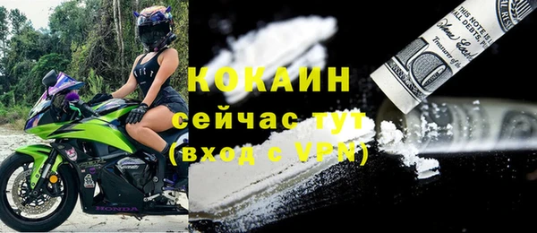 молекула духа Мегион