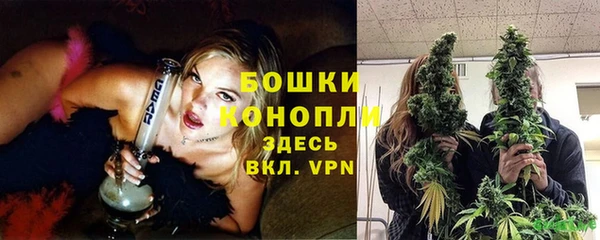 гашик Медногорск
