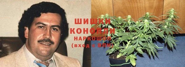 гашик Медногорск