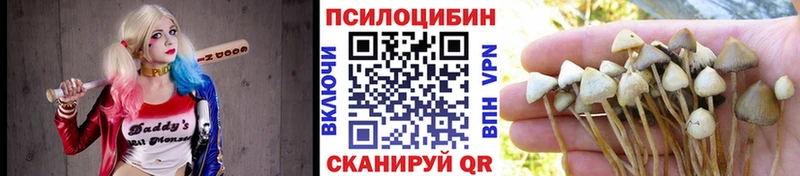 Купить  Протвино  Псилоцибиновые грибы прущие грибы 
