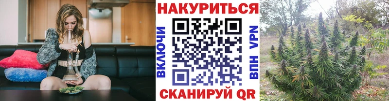 Шишки марихуана индика Протвино